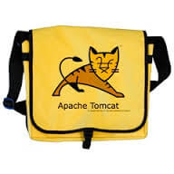 tomcat web server
