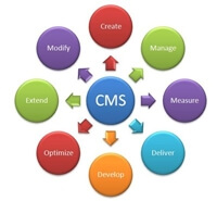 cms website security