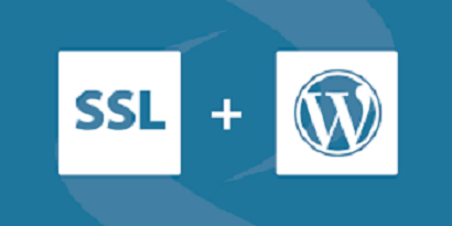 wordpress https