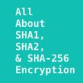 Explained SHA1, SHA2, and SHA-256 Hash Encryption