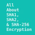 Explained SHA1, SHA2, and SHA-256 Hash Encryption