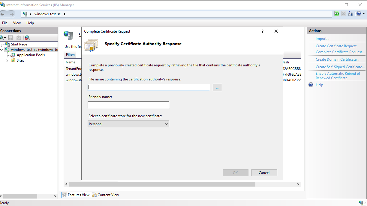 How to Install a Wildcard SSL Certificate on IIS? - SSL/TLS Certificates