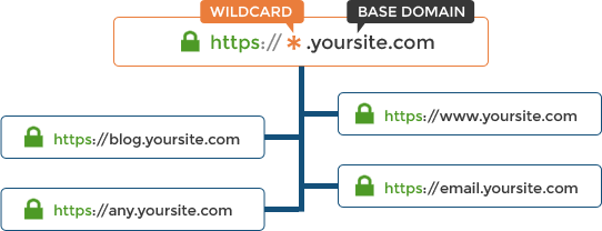 Graphic: how a wildcard ssl certificate works