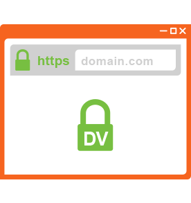 DV SSL Type Image